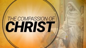 The Compassion of Jesus | Understanding Jesus