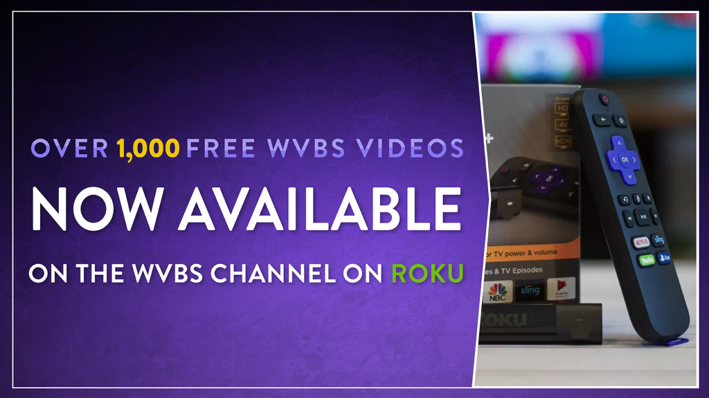 WVBS Channel on Roku
