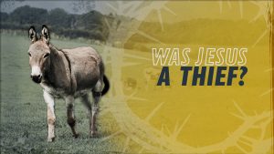Was Jesus a Thief? | Why Jesus?