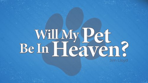 Will My Pet Be In Heaven?